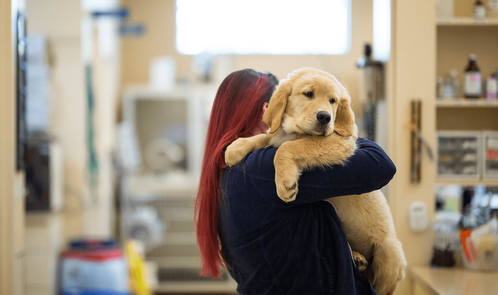 a vet tech and a puppy