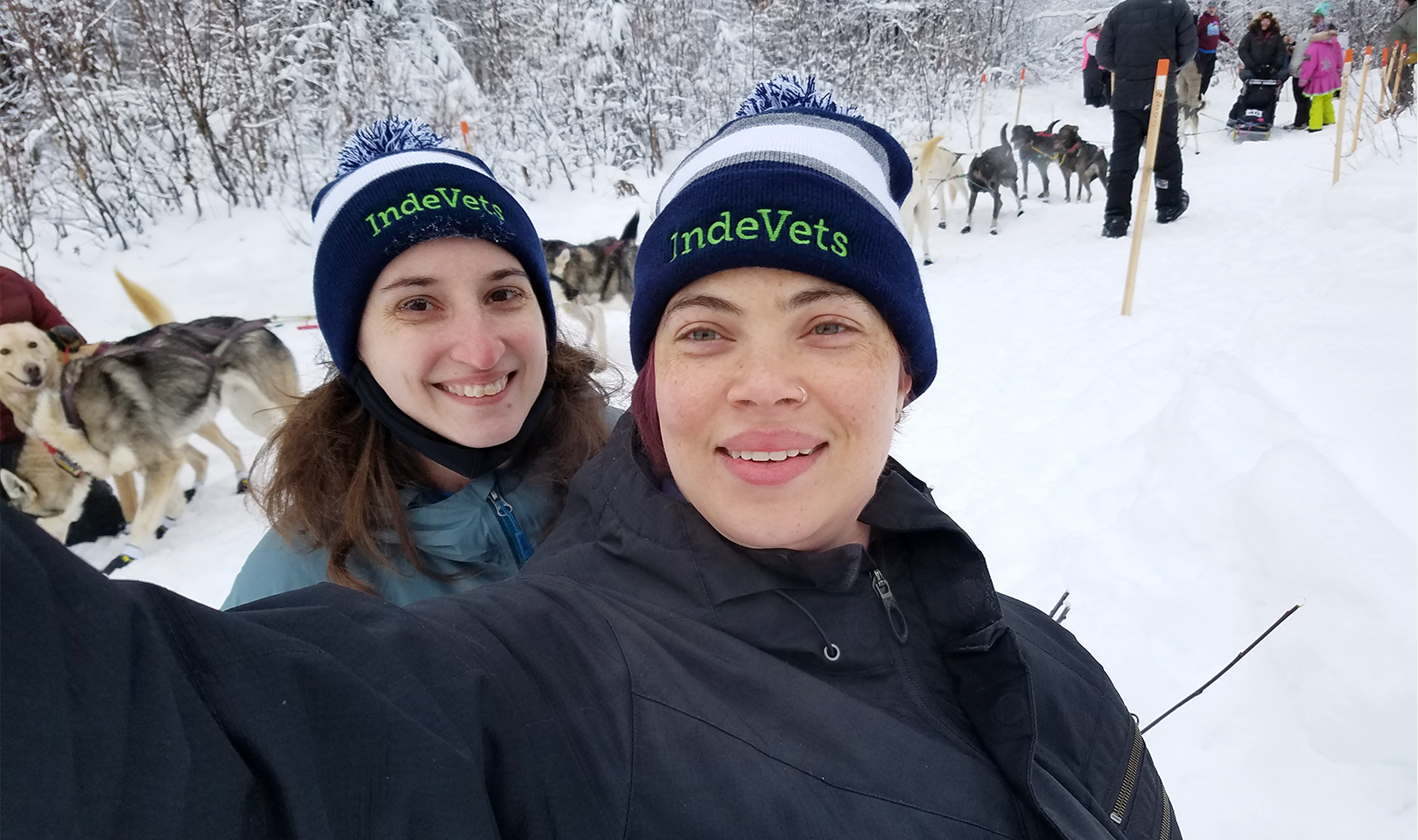 Vets and sled dogs at Willow 300 race in Alaska