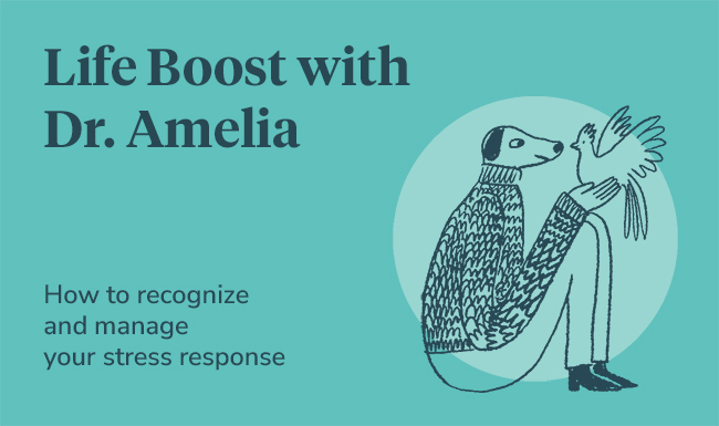 The text "Life Boost with Dr. Amelia: How to recognize and manage your stress response" beside an image of an anthropomorphic dog sitting on the ground and holding a bird.