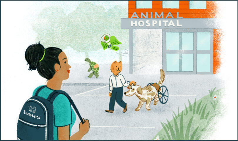 Illustration of a vet wearing a backpack standing near a clinic while a turtle, bird, and an anthropomorphic cat and their dog exit from the building.