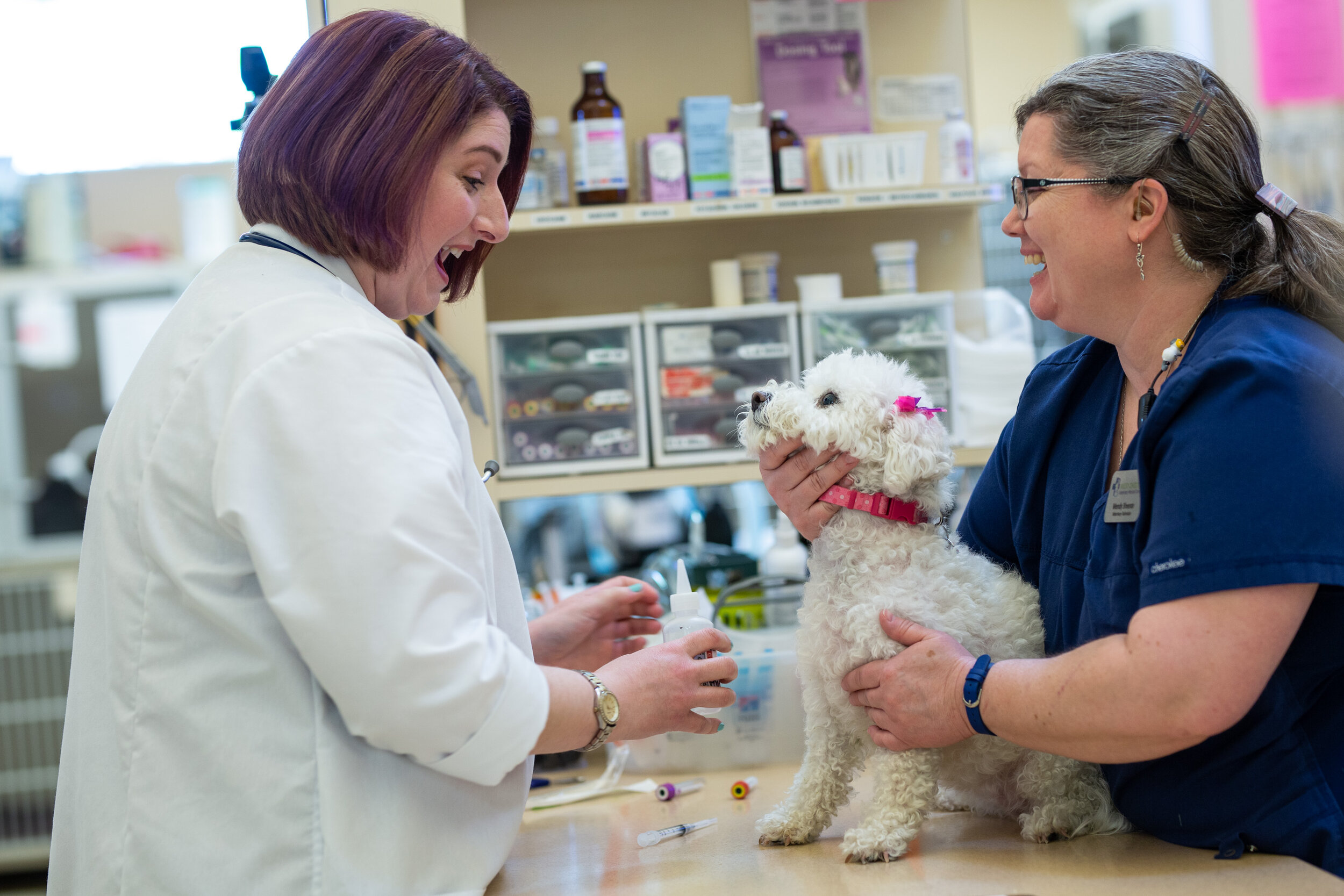a veterinarian and a vet tech caring for a small white dog