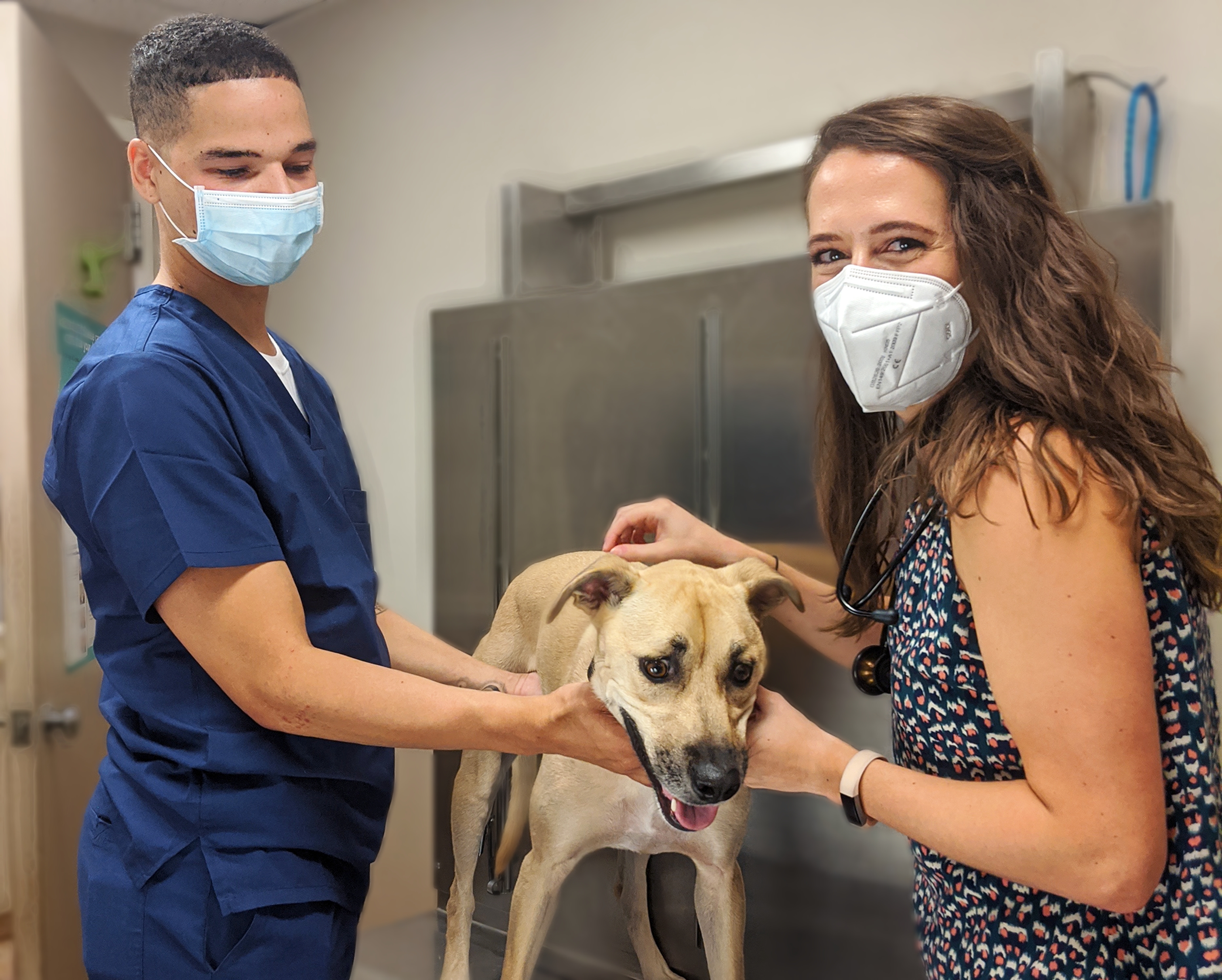 a veterinarian and a vet tech caring for a dog