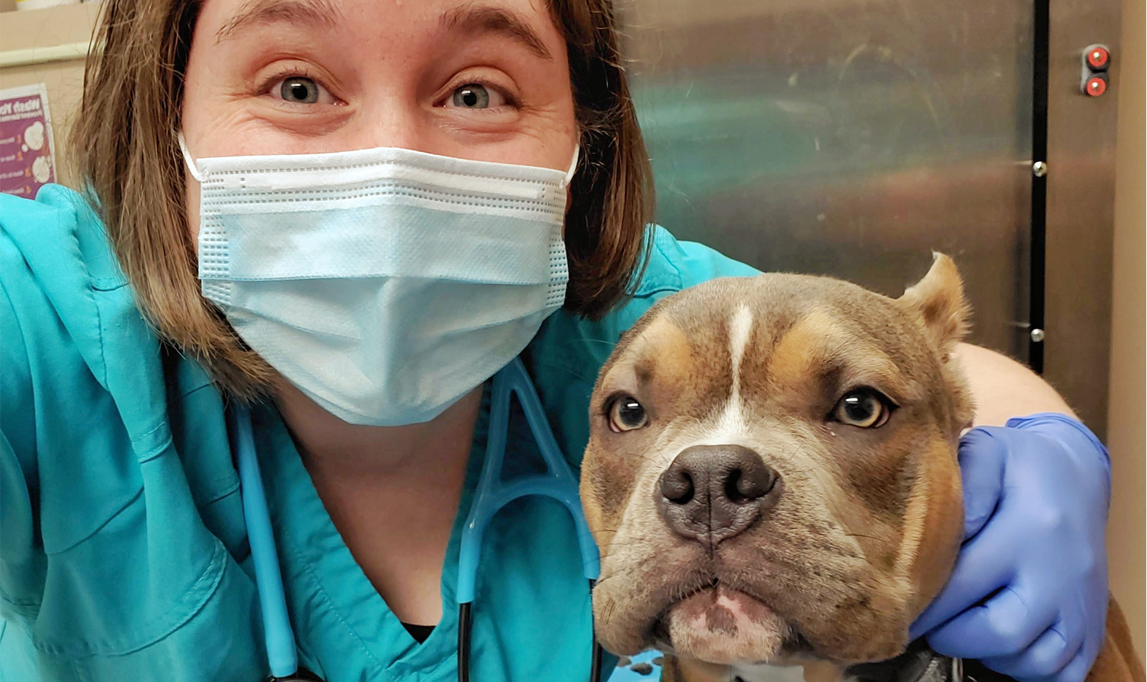 a veterinarian and a puppy