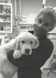 a veterinarian holding a puppy
